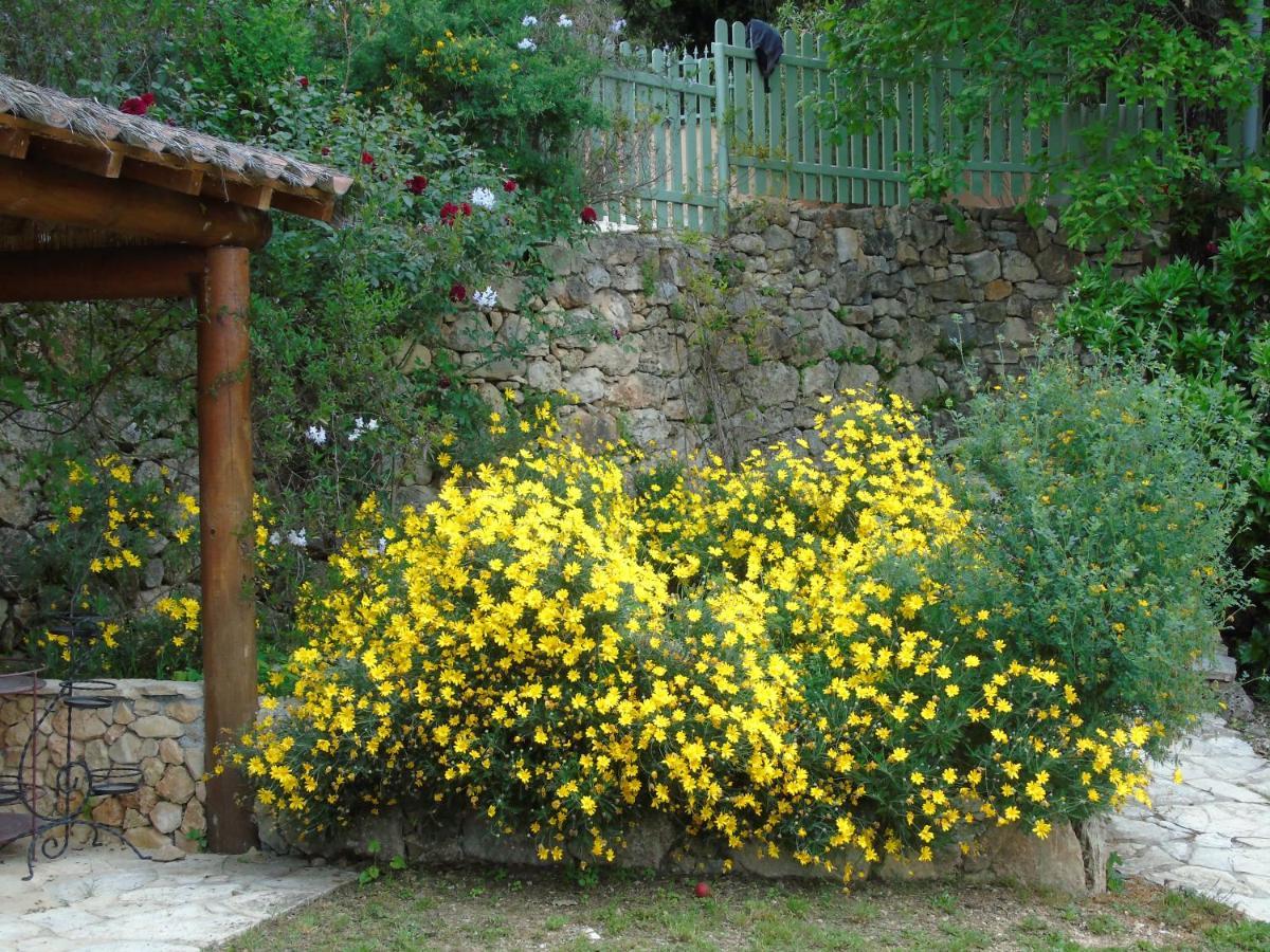 Bed and Breakfast Mas Des Citronniers Le Tignet Экстерьер фото
